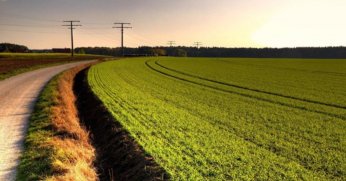 Başiskele'de 17 milyon TL'ye satılık tarla