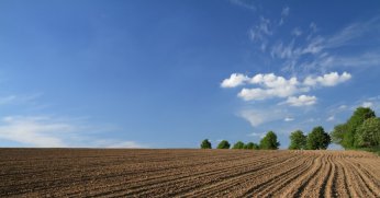 İzmit'te 1 milyon 600 bin TL'ye satılık arsa