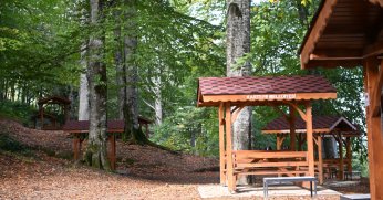 Kartepe Belediyesi Mesire Alanı Dört Mevsim Cazibe Merkezi