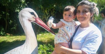 Ormanya’da yavru leylek Atlas’a sürpriz kutlama