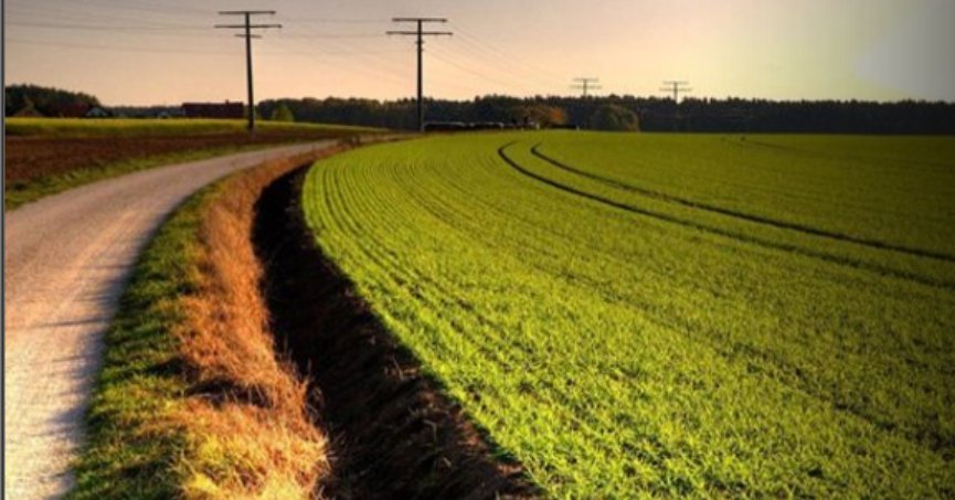 İzmit’te mahkemeden satılık tarla