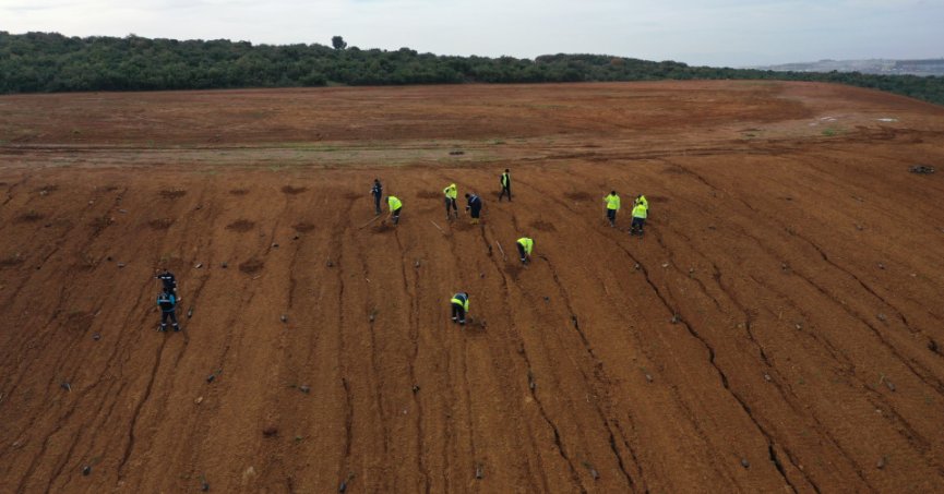 Dilovası’nda geleceğe 8 bin ağaçlık nefes