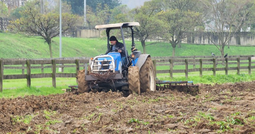 RAHVAN ATLARIN YEMLERİ TESİSLERDE YETİŞECEK