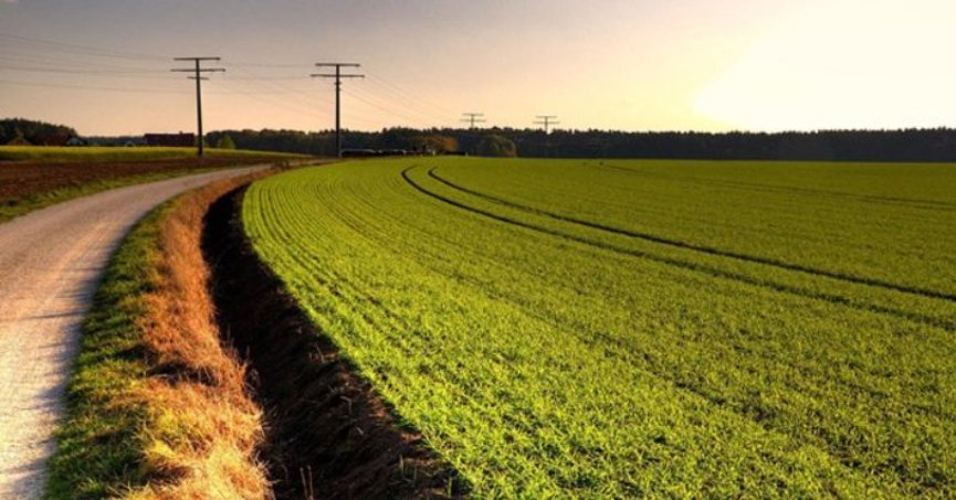 Başiskele'de 23 milyon TL'ye satılık tarla!