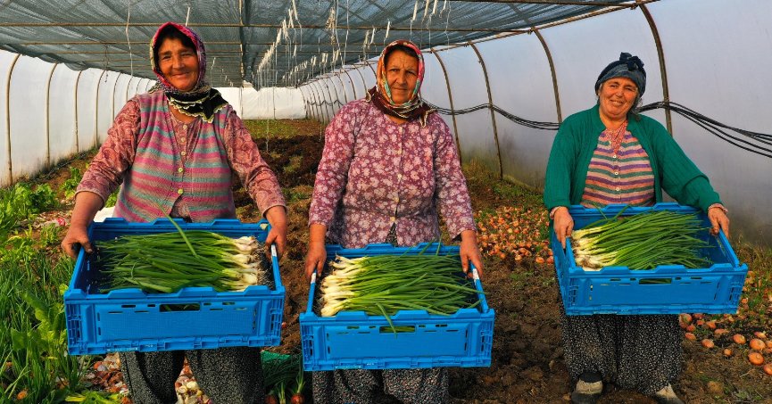 Büyükşehir’den tarıma 236 milyon 210 bin TL destek