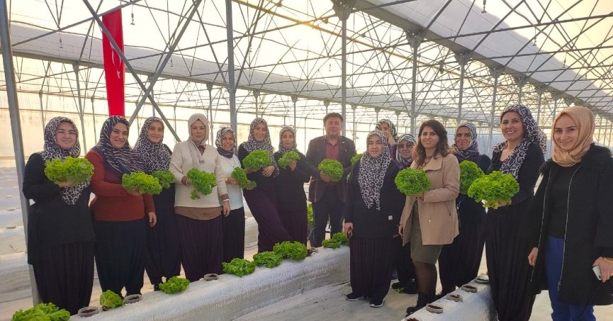 Topraksız tarım projesine kadın çiftçilerden yoğun ilgi