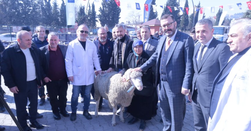 Büyükşehir’den üreticiye koç ve teke desteği