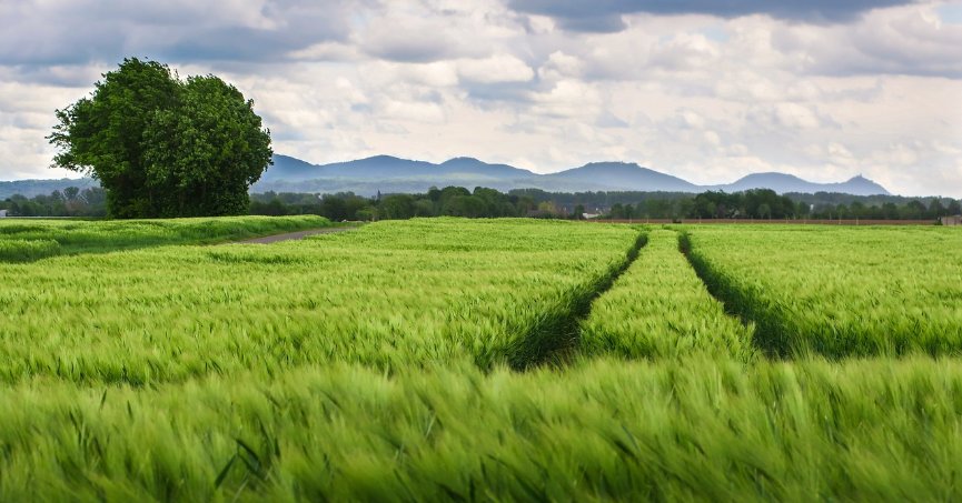 24 milyon TL'ye satılık tarla