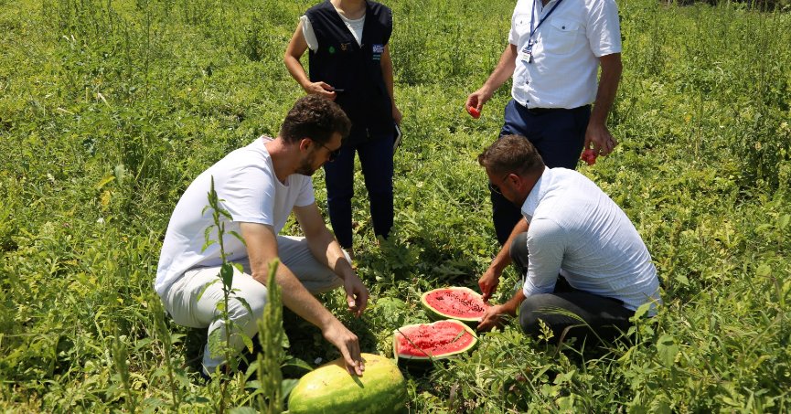 Büyükşehir’den üreticilere karpuz tohumu desteği