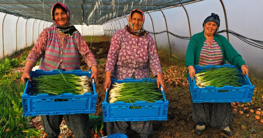 Büyükşehir’den yüzde 50 hibeli modern sera desteği