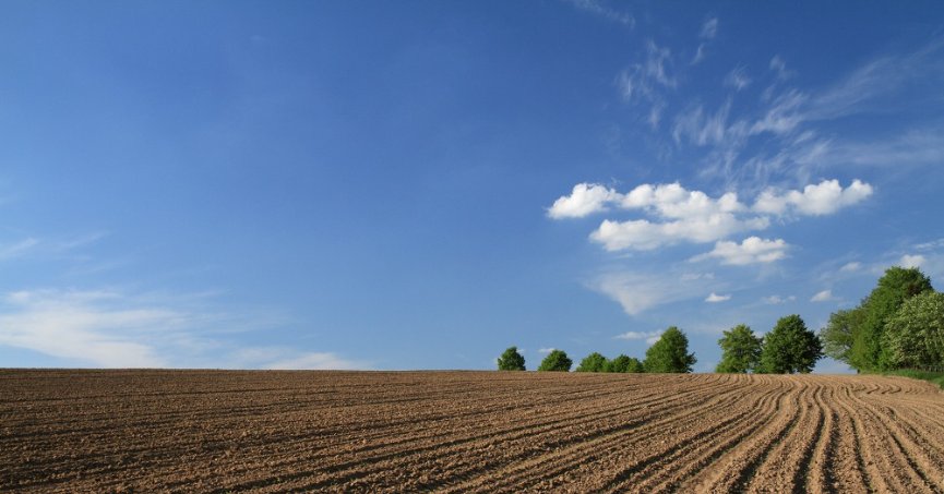 İzmit'te 1 milyon 600 bin TL'ye satılık arsa