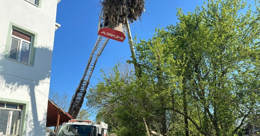 Büyükşehir, leyleklerin yuvasını yıkılmaktan kurtardı