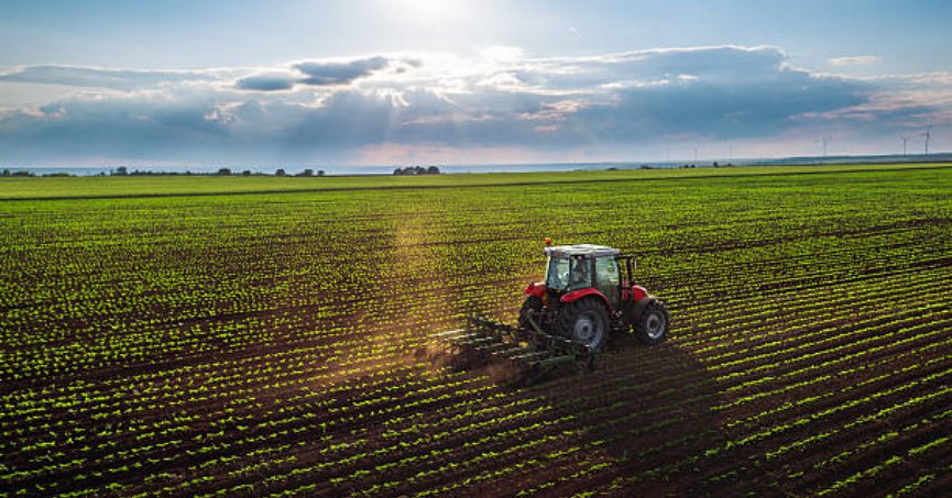 İzmit'te 5139 metrekare tarla mahkemeden satılık