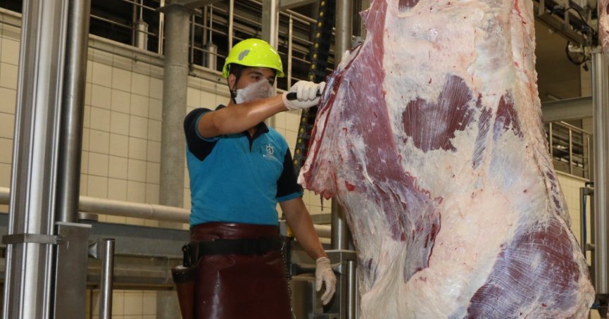 Kurban kesim başvuruları 3 Haziran’da başlıyor