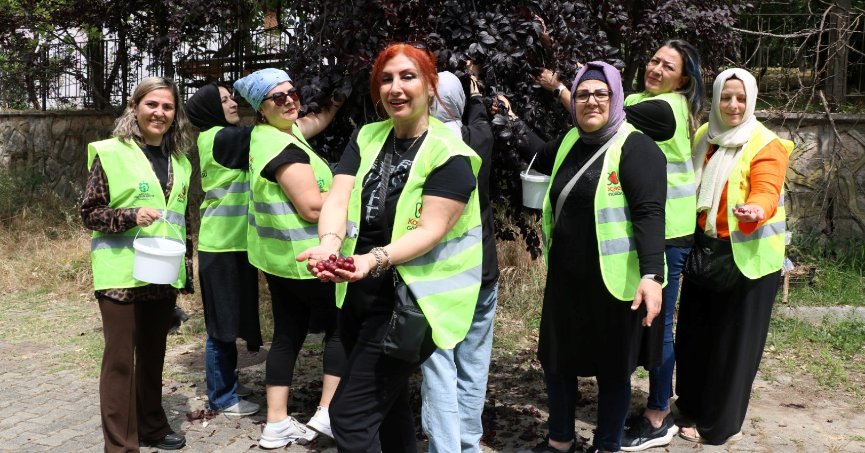 Dalından topladılar, sevgilerini de kattılar 