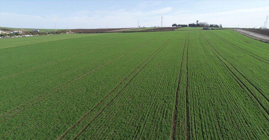 İzmit'te 2 milyon TL'ye satılık tarla