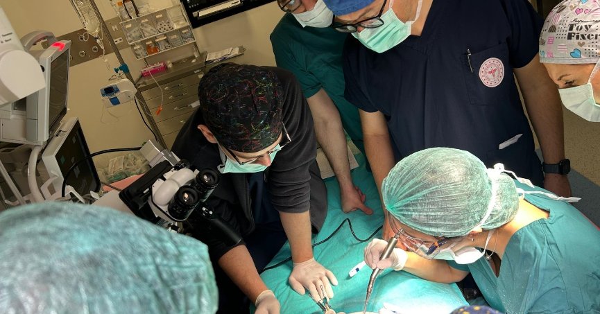 Yapay Temporal Kemik Diseksiyon Kursu