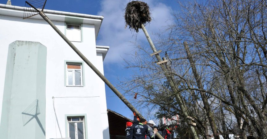 Büyükşehir’den leylek yuvasına güvenli dokunuş