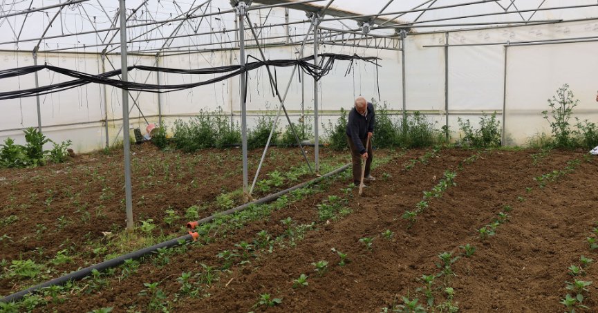 SERACILIĞIN YAYGINLAŞTIRILMASI HEDEFLENİYOR