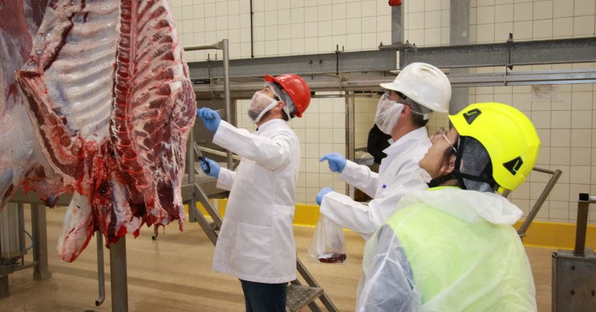 Kurban kesim başvuruları 15 Mayıs’ta başlıyor