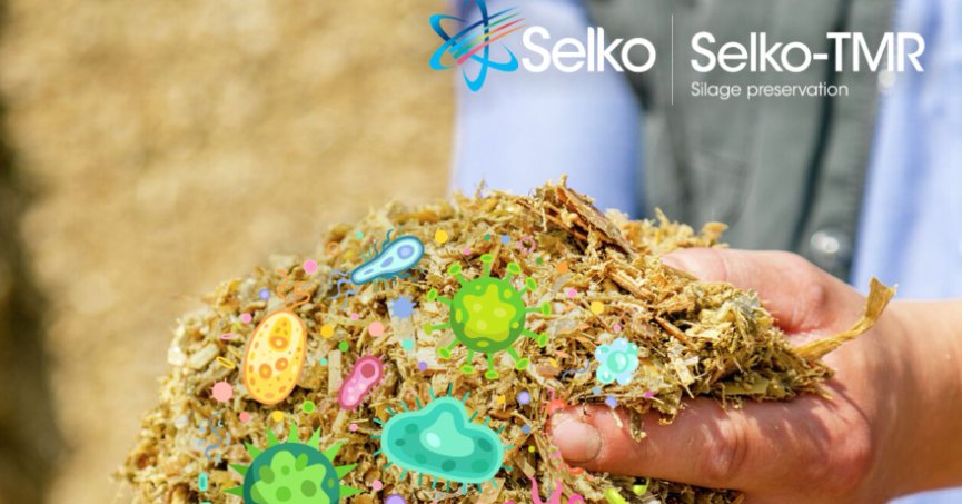 Yüksek sıcaklıklarda TMR kalitenizi Selko TMR ile koruyun