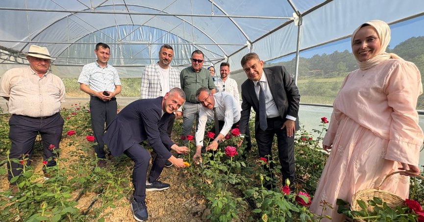 Kocaeli’nin ilk gül serası kadın elinden
