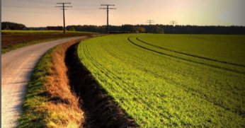 İzmit’te mahkemeden satılık tarla