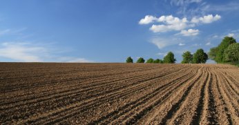 Kocaeli’de milyonluk arsalar satışa çıkıyor