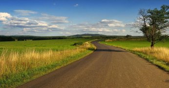 İzmit'te satılık tarla