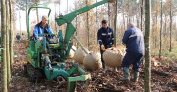 On binlerce fidan kente nefes oluyor
