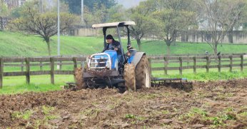 RAHVAN ATLARIN YEMLERİ TESİSLERDE YETİŞECEK