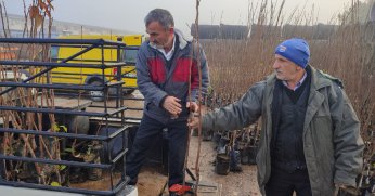Büyükşehir’in yüzde 50 hibeli meyve fidanı dağıtımı başladı