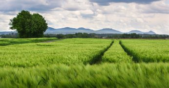 24 milyon TL'ye satılık tarla