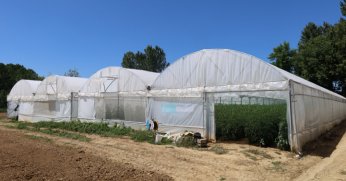 Büyükşehir’den yüzde 50 hibeli modern sera desteği