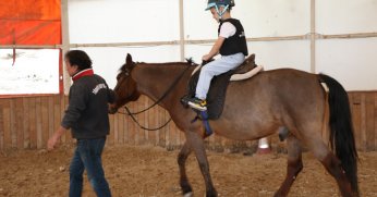 Büyükşehir’den çocuklara ücretsiz at binme