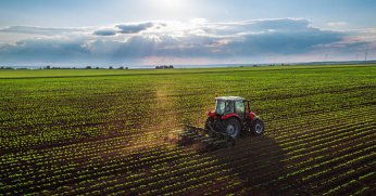 İzmit'te 5139 metrekare tarla mahkemeden satılık