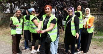 Dalından topladılar, sevgilerini de kattılar 