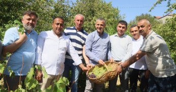 “ÜZÜMLERİMİZ YERLİ VE ORGANİK”