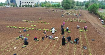 5 milyon fide toprakla buluşturuldu