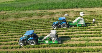 “Topraktan kopmayın”