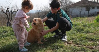 Alex yeni yuvasına kavuştu