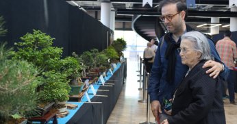 BİRBİRİNDEN ÖZEL AĞAÇLAR SERGİLENDİ