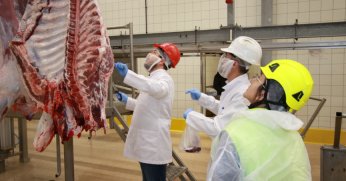 Kurban kesim başvuruları 15 Mayıs’ta başlıyor