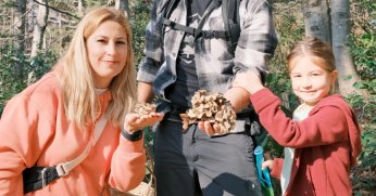 Kuzuyayla’da mantarların gizemli dünyası keşfedildi