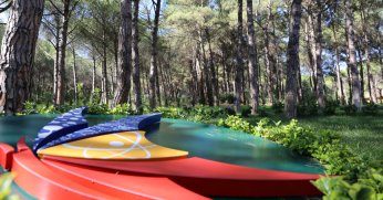 GTÜ ETS ile Kamu Tasarrufunda Dijital Çözüm