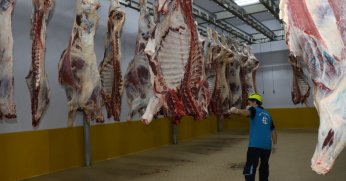 Kasapların tercihi Büyükşehir Mezbahası