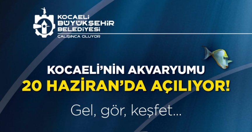 Körfez Aqua Kıtalar Akvaryumu kapılarını açıyor