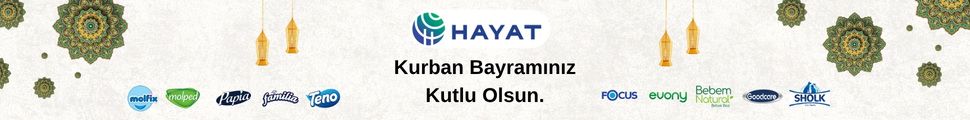 Logo yanı