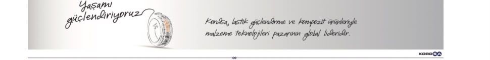 Logo yanı